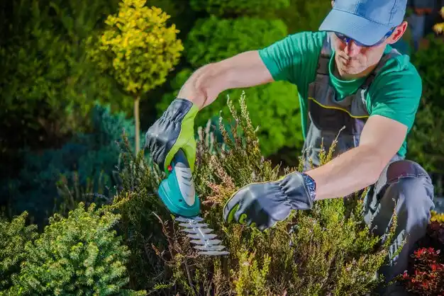 landscaping services Raymore